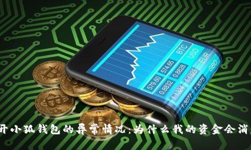 揭开小狐钱包的异常情况：为什么我的资金会消失？