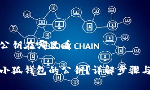 小狐钱包公钥在哪里看

如何查找小狐钱包的公钥？详解步骤与注意事项