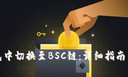 如何在小狐钱包中切换至BSC链：详细指南与常见问题解答