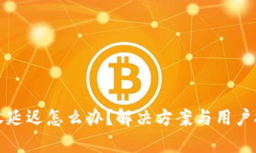 小狐钱包接收延迟怎么办？解决方案与用户技巧全面解析