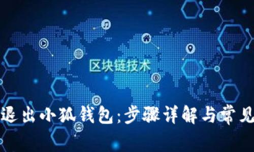 如何安全退出小狐钱包：步骤详解与常见问题解答