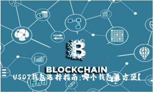 USDT钱包选择指南：哪个钱包最方便？